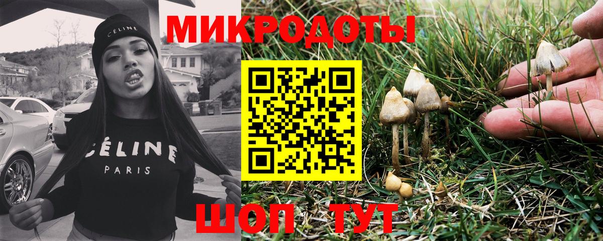 Псилоцибиновые грибы Psilocybine cubensis Пушкино